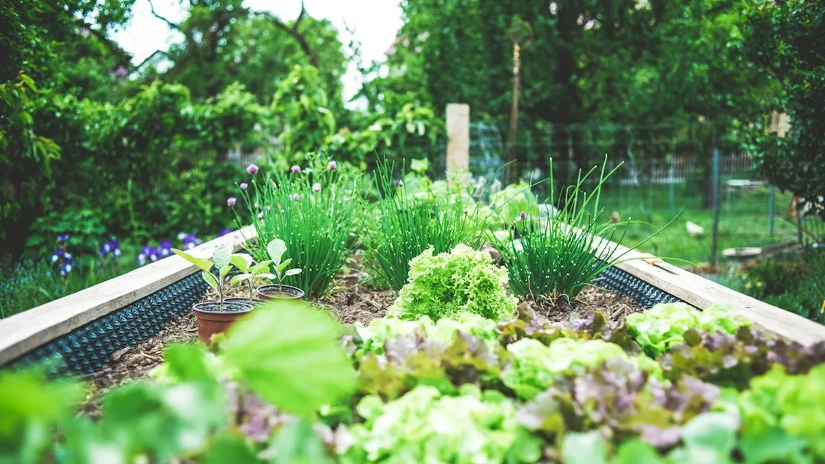 Faire un carré potager